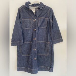 Everlane Denim Chore Dress